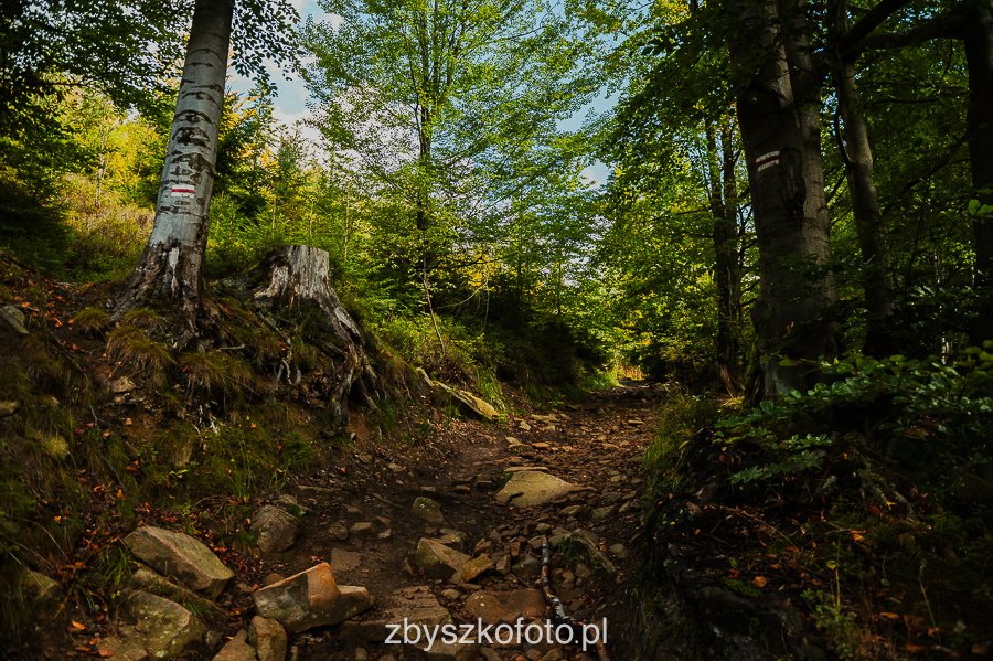 Beskid-08