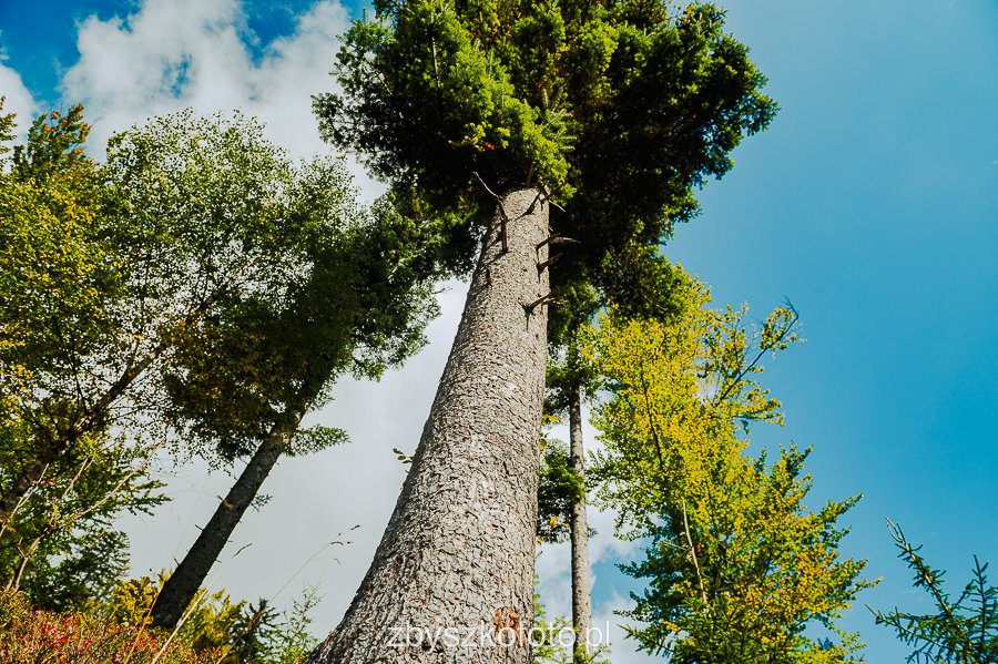Beskid-09