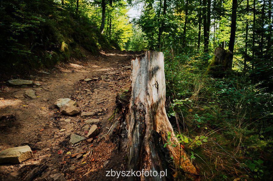 Beskid-10