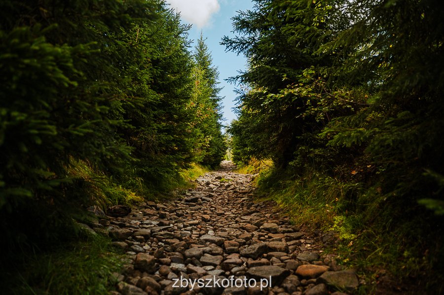 Beskid-13