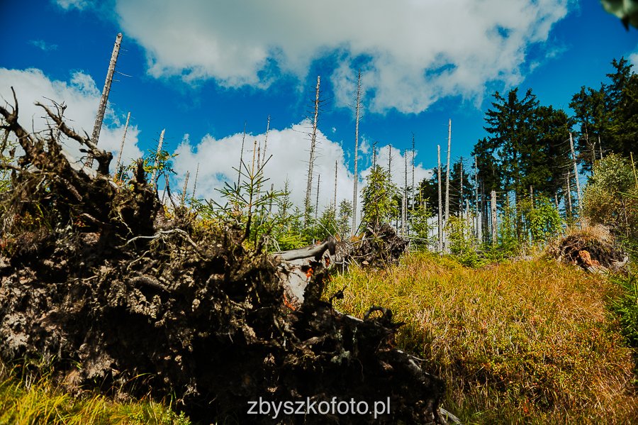 Beskid-15