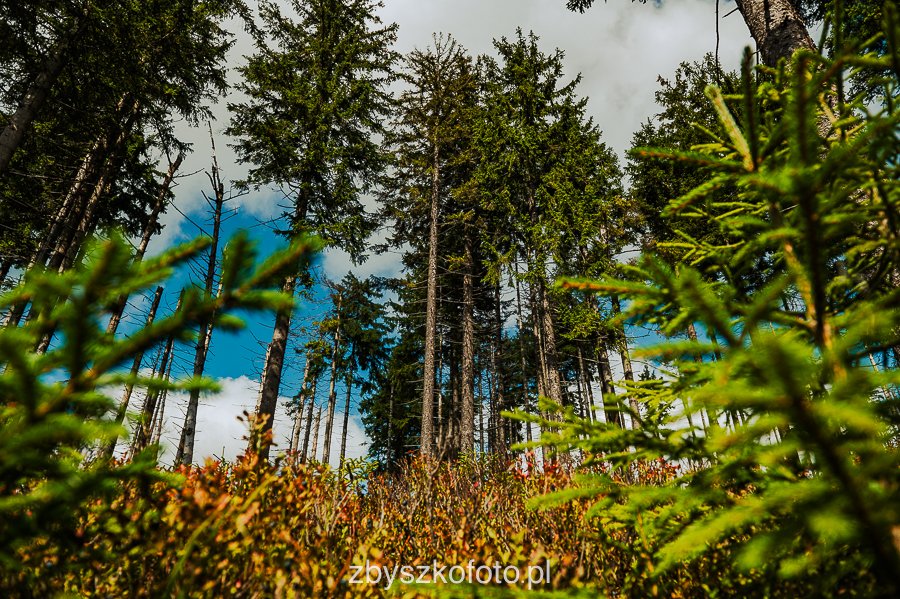 Beskid-16