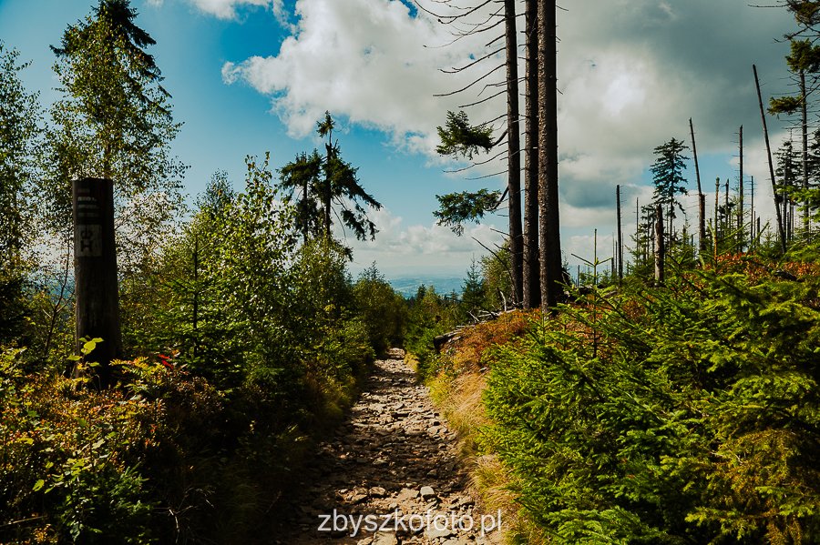 Beskid-17