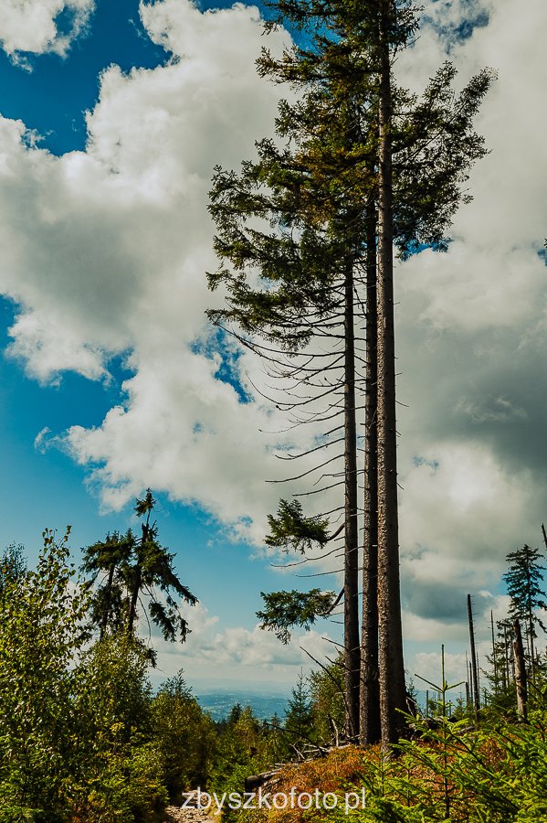 Beskid-18