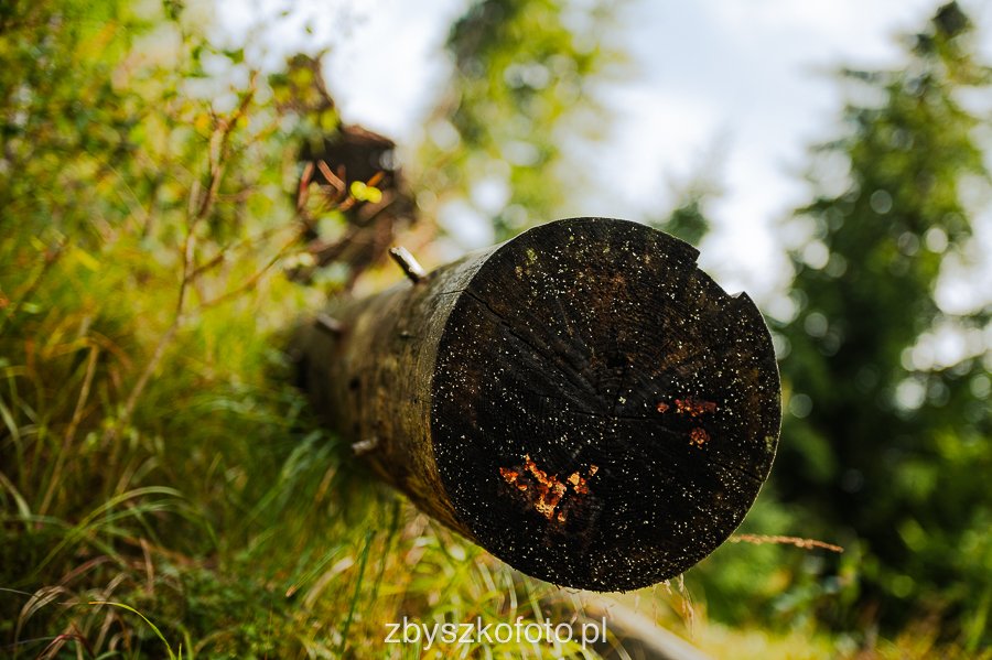 Beskid-19