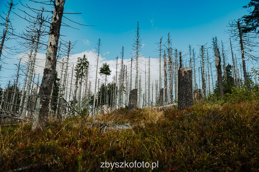 Beskid-20