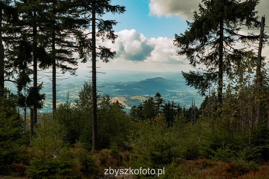 Beskid-21