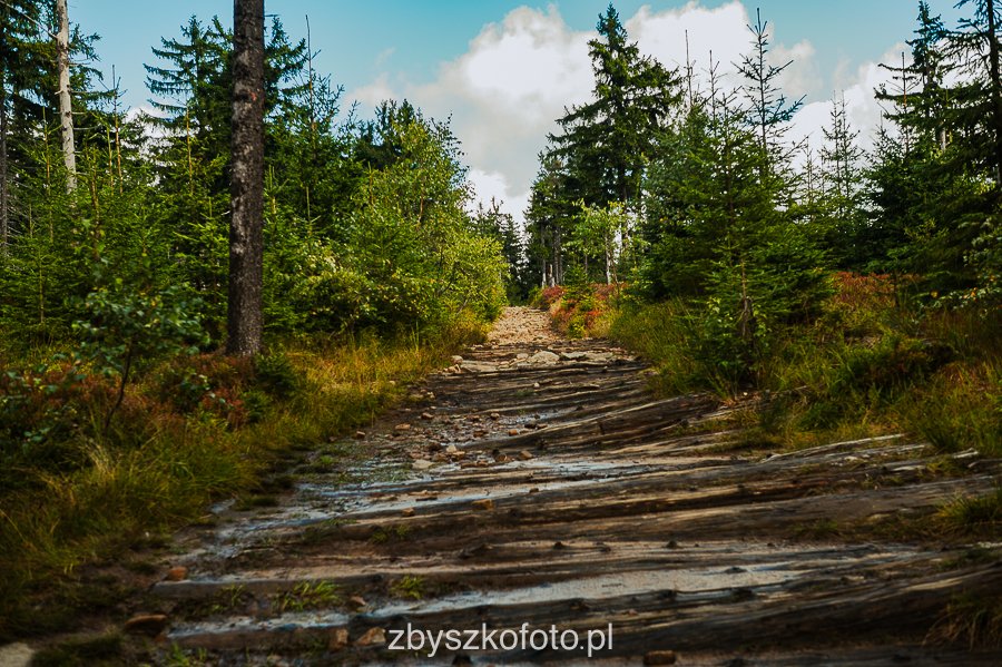 Beskid-22
