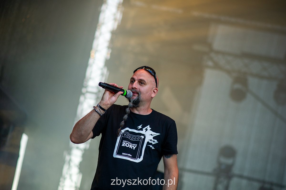 Przystnaekzory-100