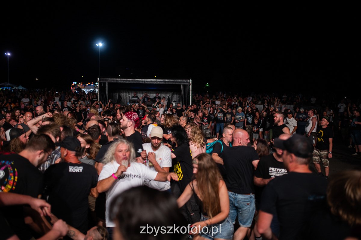 Przystnaekzory-231