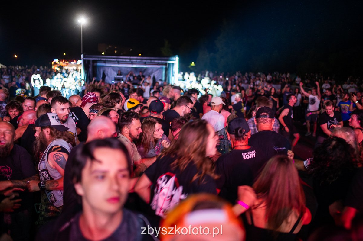 Przystnaekzory-232