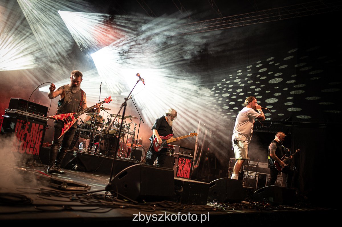 Przystnaekzory-238