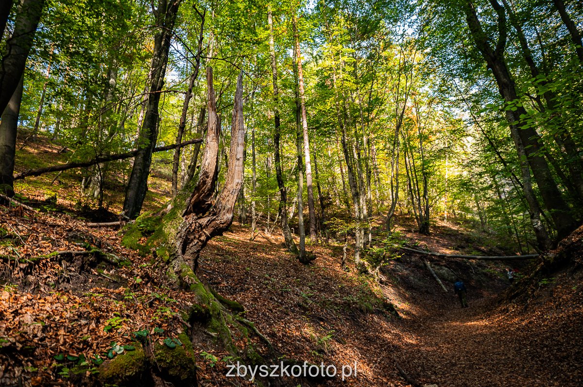 Slovakia-11