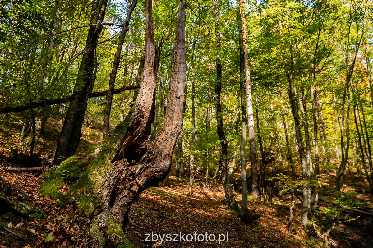 Slovakia-12