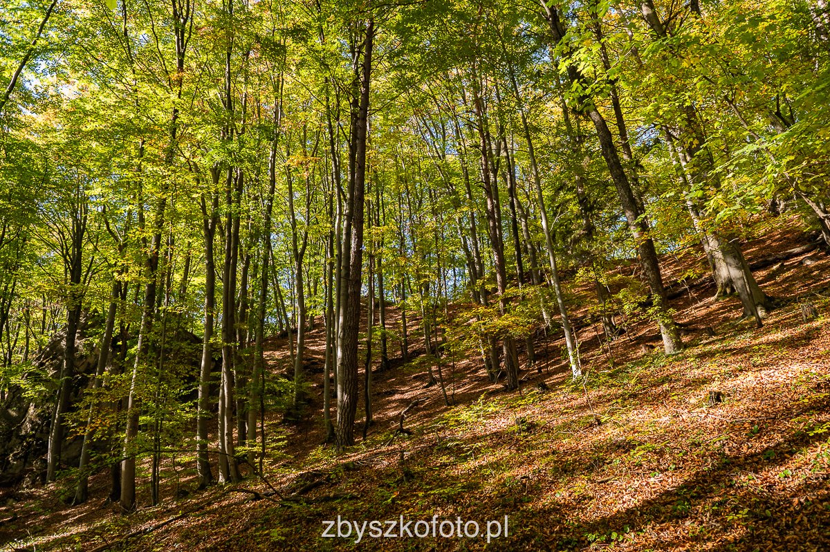 Slovakia-38