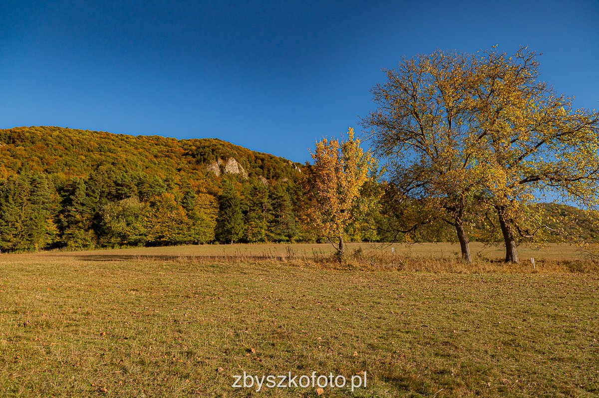 Slovakia-55