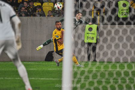 Gieksalegia-17